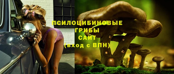 синтетический гашиш Пролетарск