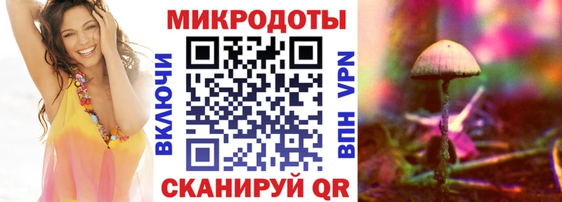 Псилоцибиновые грибы мицелий  Шахунья 